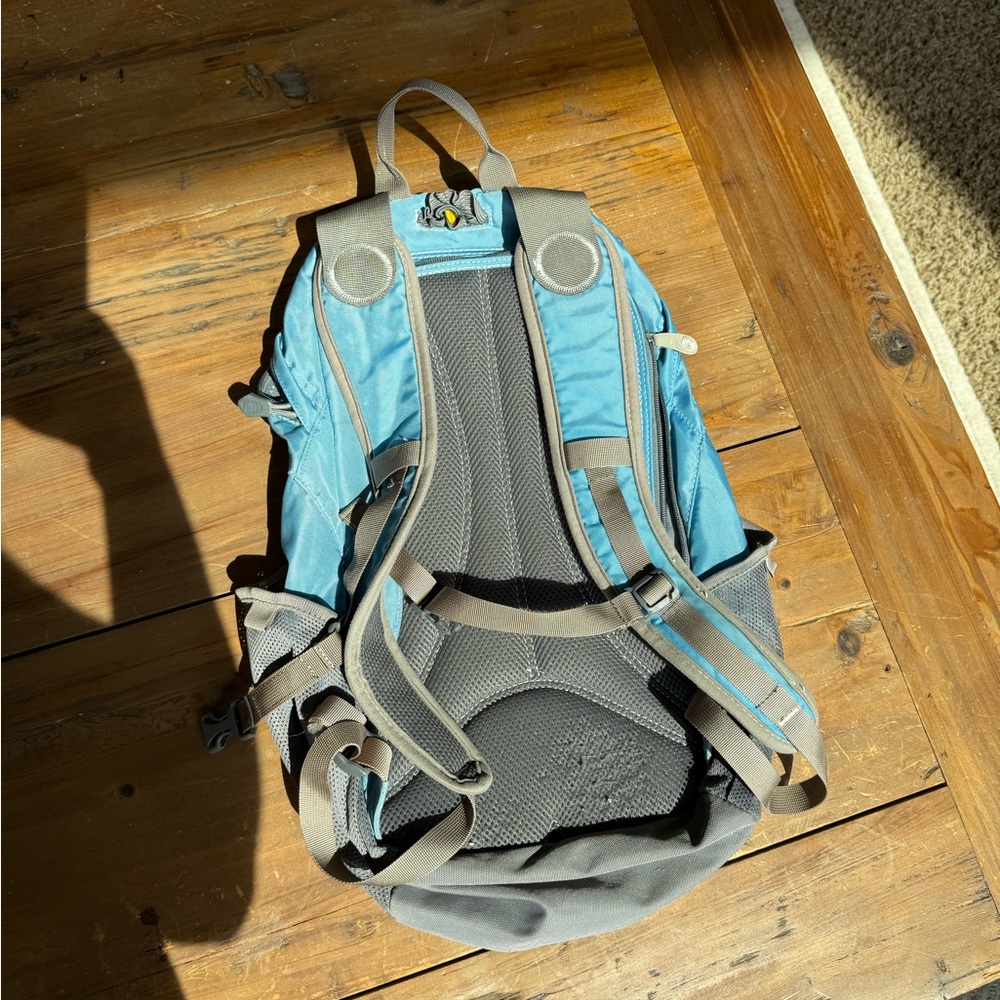 Camelback Backpack - image 2